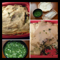 lasagne-epinard-poisson