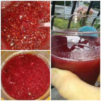 jus groseilles cassis