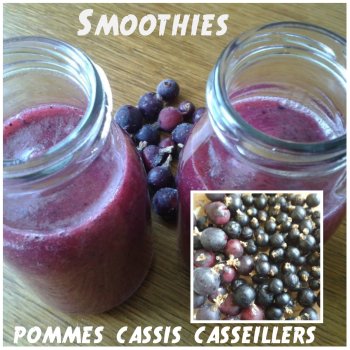 smoothies cassis casseillers pommes