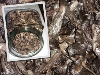 trompette de la mort déshydraté