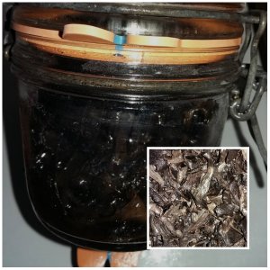 trompettes de la mort