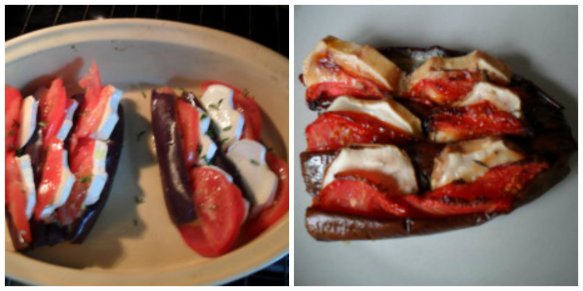 éventail d'aubergines