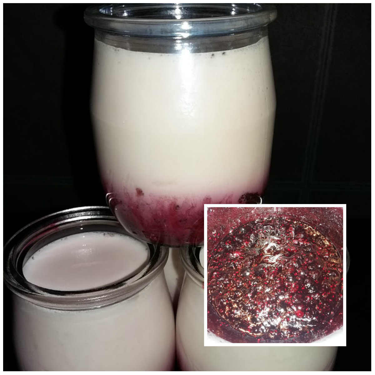 Yaourt Aux Fruits Rouges Yaourts aux fruits rouges | MIAMSLESPASSIONS