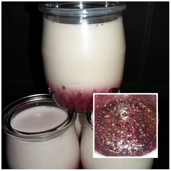 yaourt aux fruits 7.7