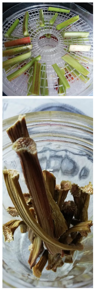 rhubarbe déshydraté