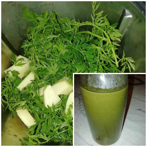 veloute fane carotte